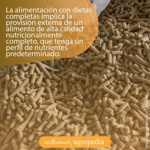 alimento peletizado para peces