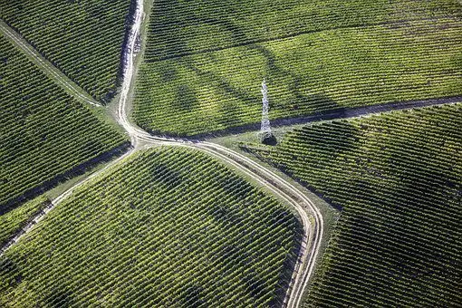vista aérea de un viñedo