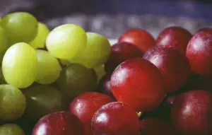 cultivo de uva - cultivo de uva caracteristicas