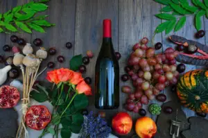 cultivo de uva - cultivo de uva para vino