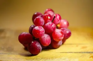 cultivo de uva - cultivo de uva caracteristicas
