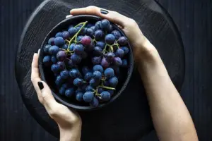 cultivo de uva - cultivo de uva para vino