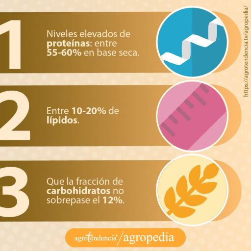 nutrientes de los alimentos