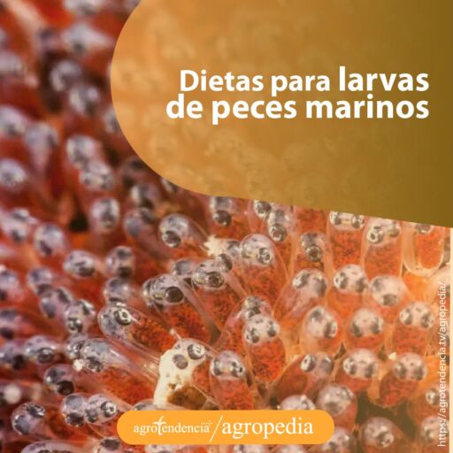 larvas de peces y sus dietas alimenticias
