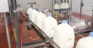 producción de leche