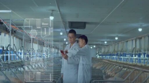 China usa inteligencia artificial para identificar fiebre porcina