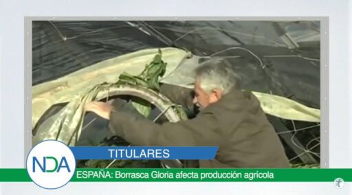 Noticias Del Agro Emisión 24 de enero 2020