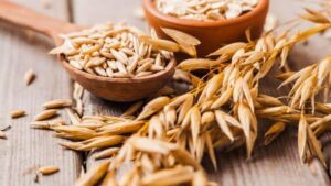 acuicultura - alimentos acuícolas