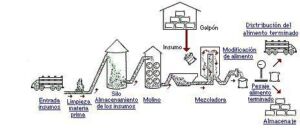 acuicultura - elaboracion de alimentos acuícolas