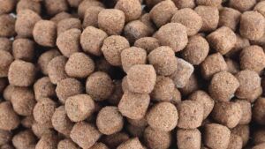 acuicultura - alimentos acuícolas