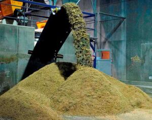 acuicultura - elaboracion de alimentos acuícolas