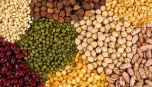 acuicultura - alimentos acuícolas