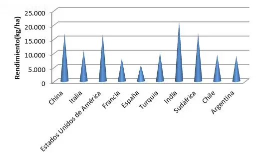 uvas-rendimiento figura de rendimiento de países productores de uva