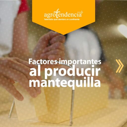 factores importantes en la producción de mantequilla