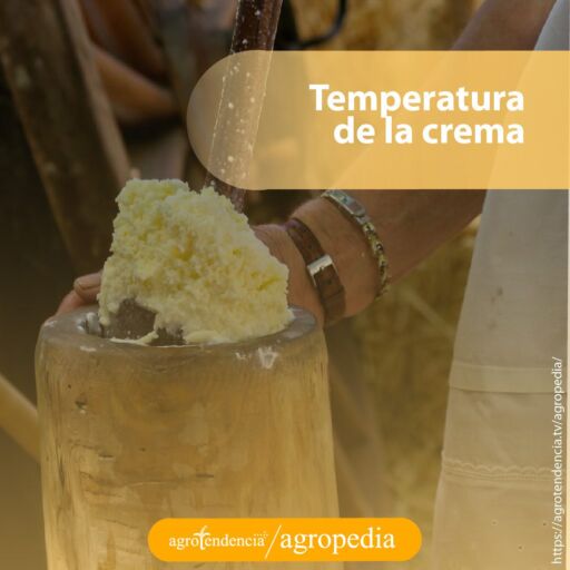 Temperatura para obtener mantequilla