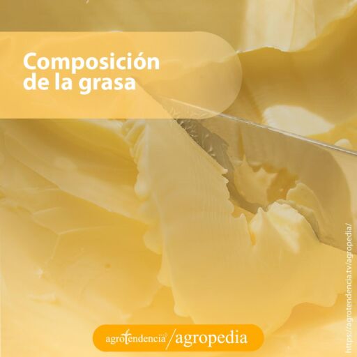 composición de la grasa-para la obtención de mantequilla