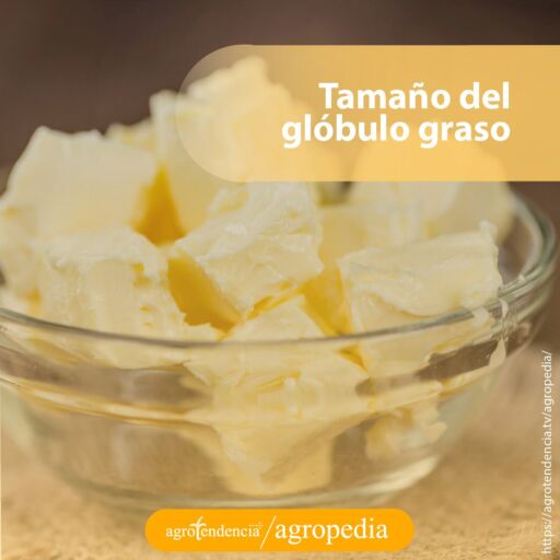 Envase de cristal con cuadros de mantequilla