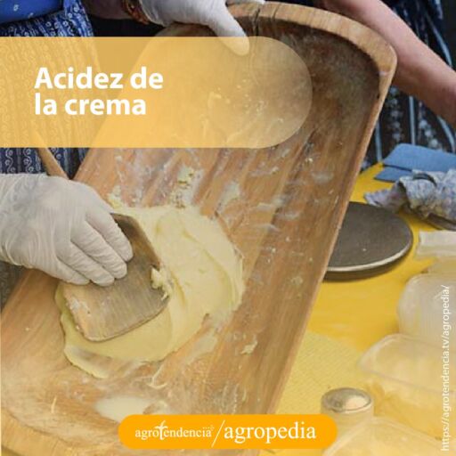 persona presionando la crema de mantequilla sobre tabla