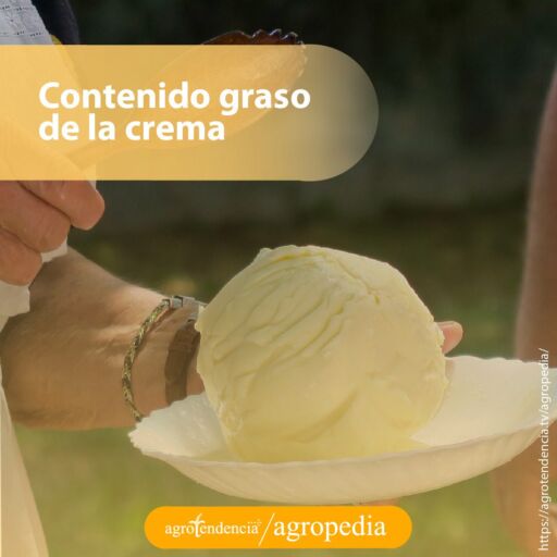 hombre con un plato con una bola de crema de mantequilla