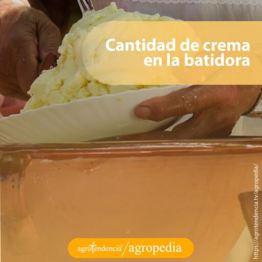 persona echando crema de mantequilla en recipiente
