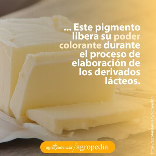 mantequilla en panela cortada