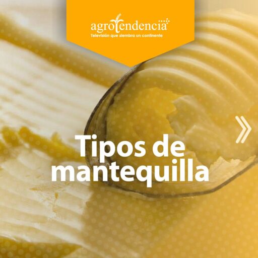 cuchillo tomando mantequilla