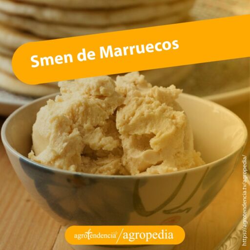 tazón con mantequilla o smen