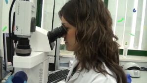 Gusano es usado para investigaciones científicas