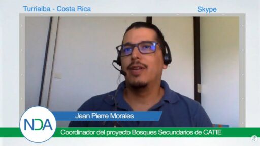 Plataforma que promueve los negocios forestales