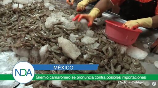 Noticias Del Agro Emisión 12 de febrero 2020