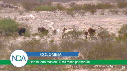 Noticias Del Agro Emisión 14 de febrero 2020