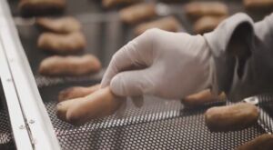 Invernadero solar ayuda a disminuir perdidas de alimentos