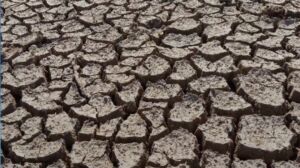 Científicos españoles hacen un llamado a disminuir la aridez de la tierra