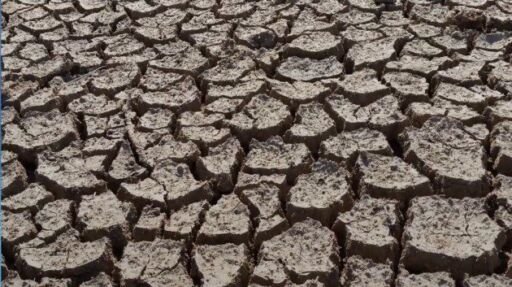 Científicos españoles hacen un llamado a disminuir la aridez de la tierra