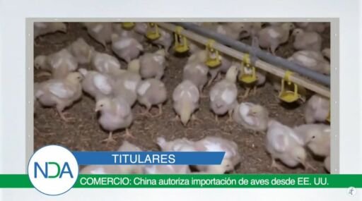 Noticias Del Agro Emisión 17 de febrero 2020