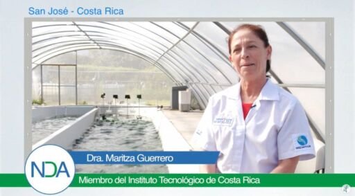 Microalgas: alternativa sustentable que crece y se consolida