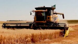 El futuro agrícola frente al calentamiento global