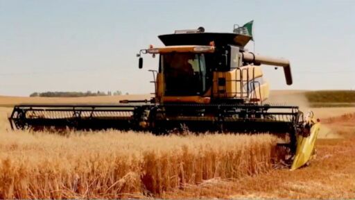 El futuro agrícola frente al calentamiento global
