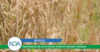 noticias del agro