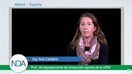 Huertos urbanos: cultivos del futuro