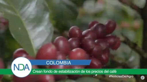 Noticias Del Agro Emisión 20 de febrero 2020