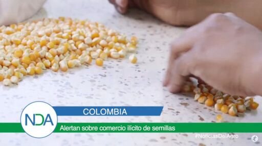 Noticias Del Agro Emisión 24 de febrero 2020