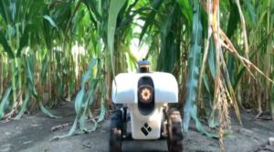Crean robot para escanear y retratar el campo con detalles