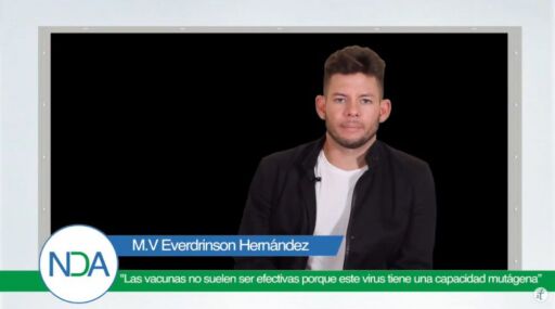 Gripe aviar continúa afectando la avicultura
