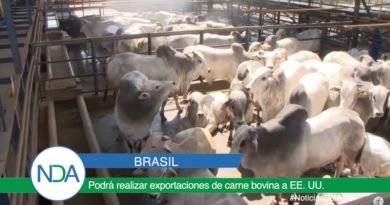 noticias del agro