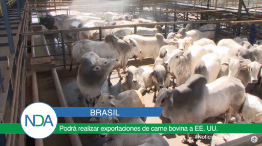Noticias Del Agro Emisión 26 de febrero 2020