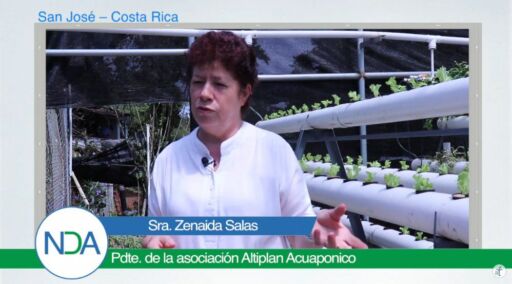 Acuaponía: alternativa productiva de peces y vegetales