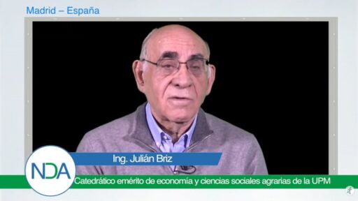 Naturación urbana para ciudades más sostenibles