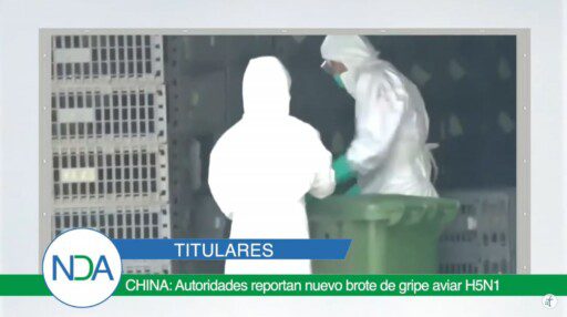 Noticias Del Agro Emisión 03 de febrero 2020