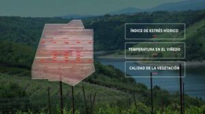 Tecnología de altos vuelos permite cuidar viñedos en España